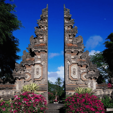 Premium Commercial Bali